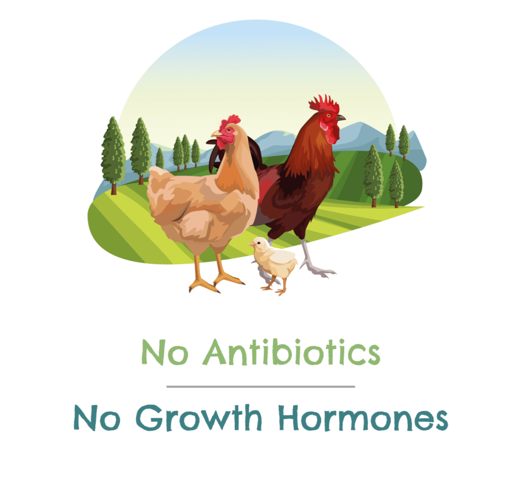 Antibiotic and hormone free Chicken
